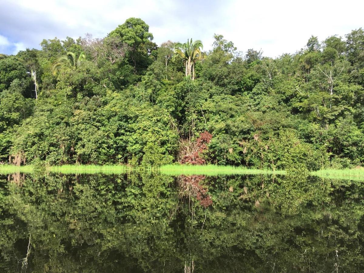 Careiro Amazon Arowana Lodge מראה חיצוני תמונה