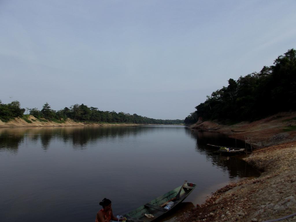 Careiro Amazon Arowana Lodge מראה חיצוני תמונה
