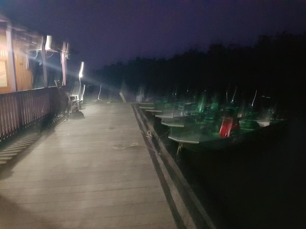 Careiro Amazon Arowana Lodge מראה חיצוני תמונה