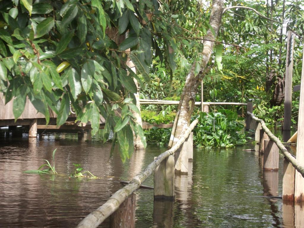 Careiro Amazon Arowana Lodge מראה חיצוני תמונה